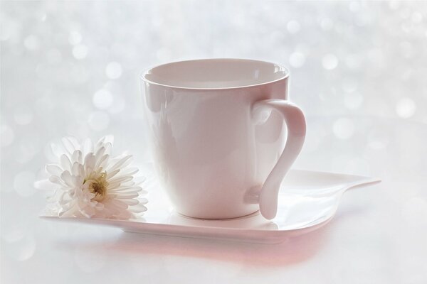 Pink cup and saucer on the background of glare