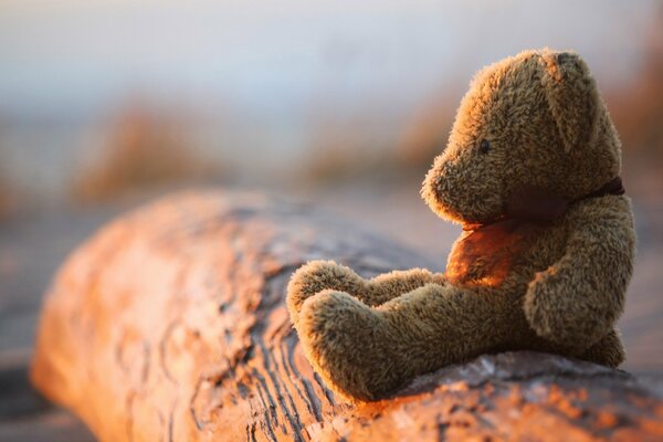 Toy teddy Bear on a log