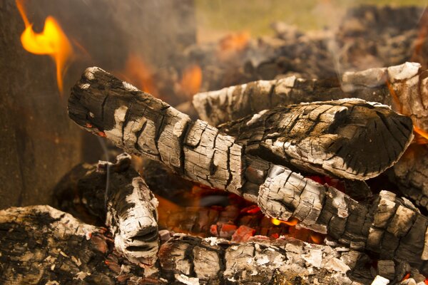 Ländliche Natur mit Lagerfeuer und Schaschlik