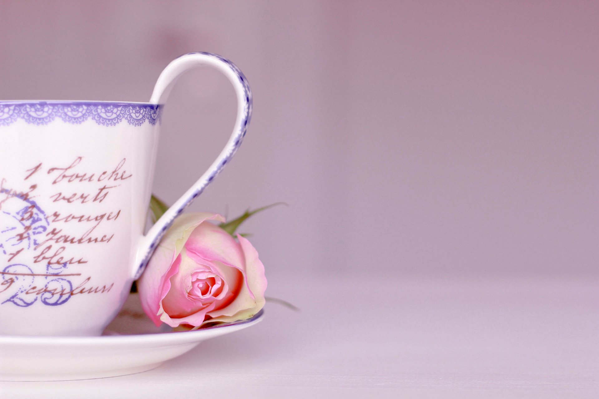 cup saucer inscription words rose flower pink background