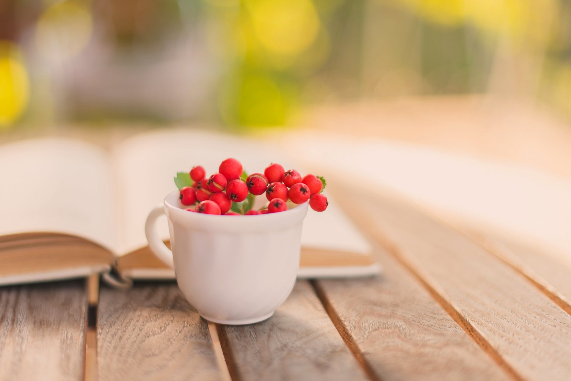 libro taza bayas rojo ceniza de montaña otoño mesa desenfoque