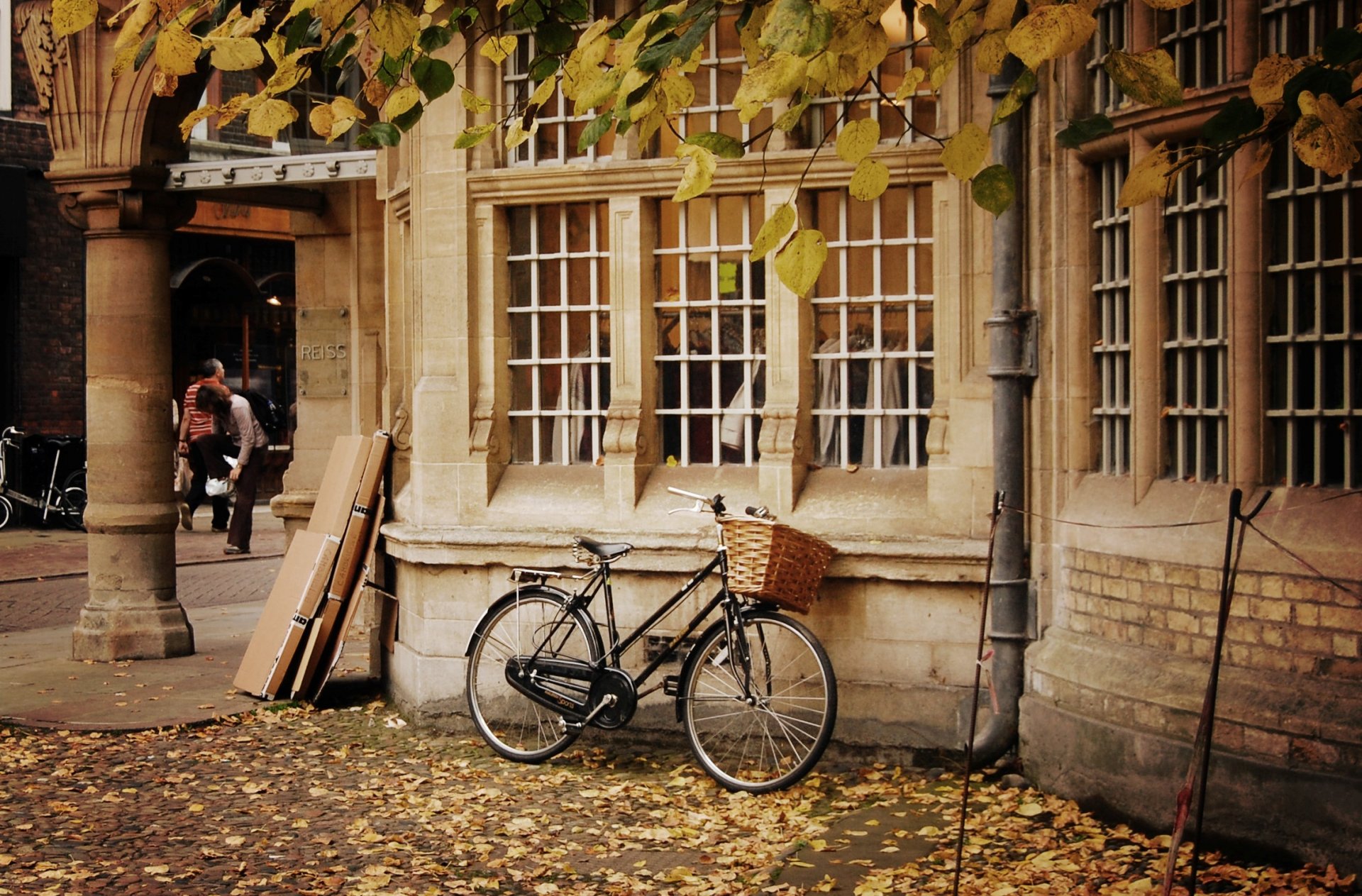 divers vélo roue panier panier nature automne feuilles jaune chute de feuilles arbres maison fenêtres personnes arrière-plan papier peint grand écran plein écran écran large grand écran