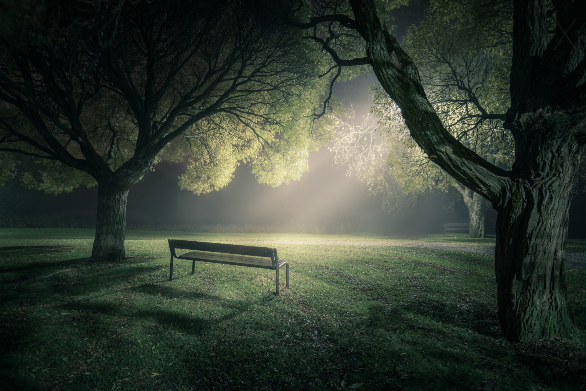 park bench fog tree light