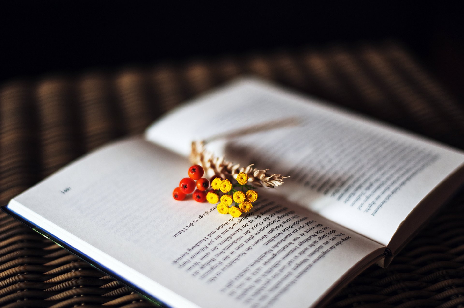 buch seiten text beeren blumen ährchen