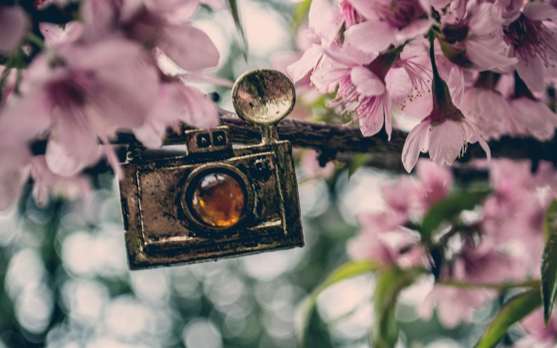 różne wisiorek wisior aparat fotograficzny kwiaty kwiatki różowe tło tapeta panoramiczny pełny ekran panoramiczny panoramiczny