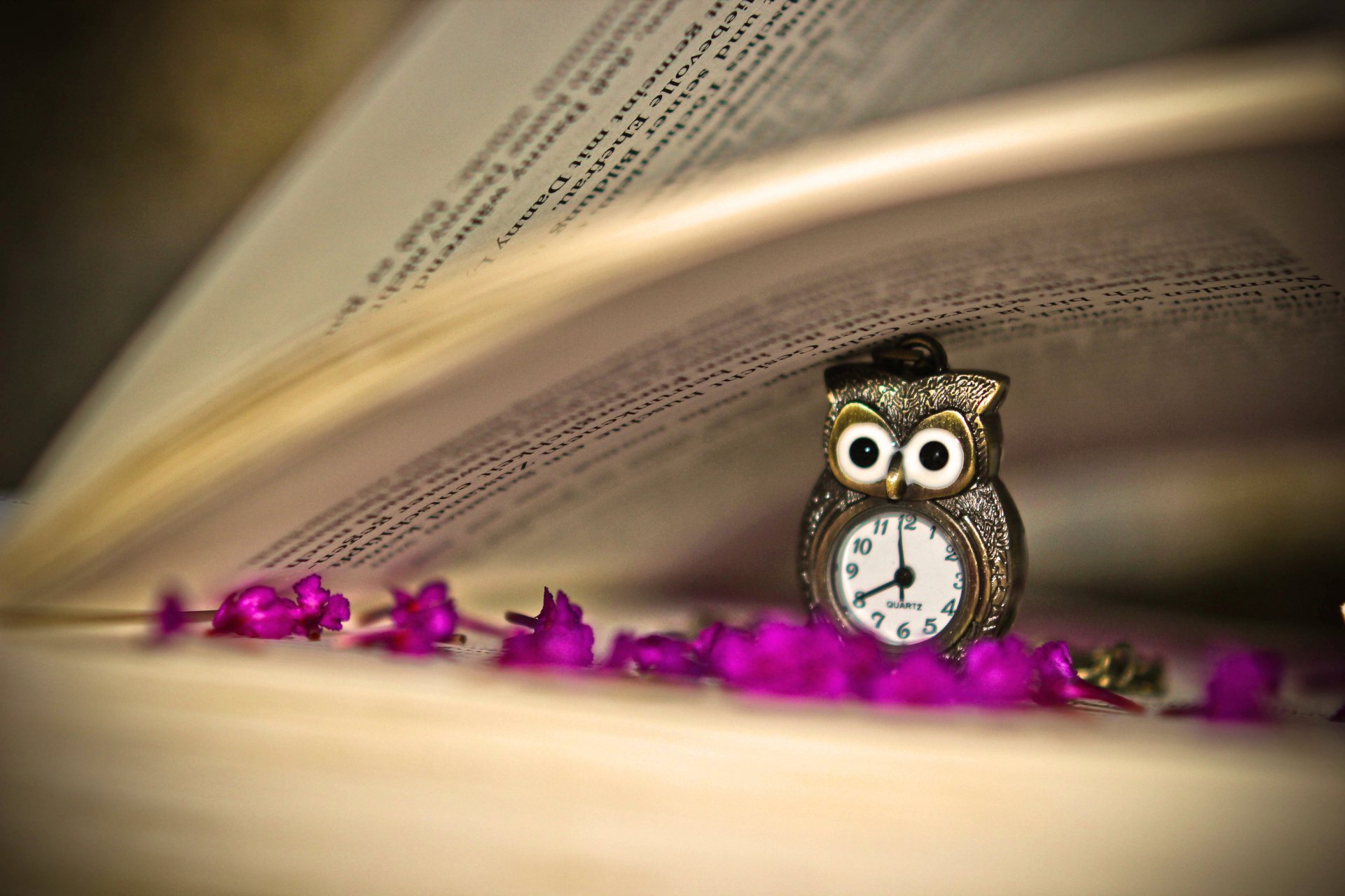 livre page hibou pendentif horloge fleurs lilas