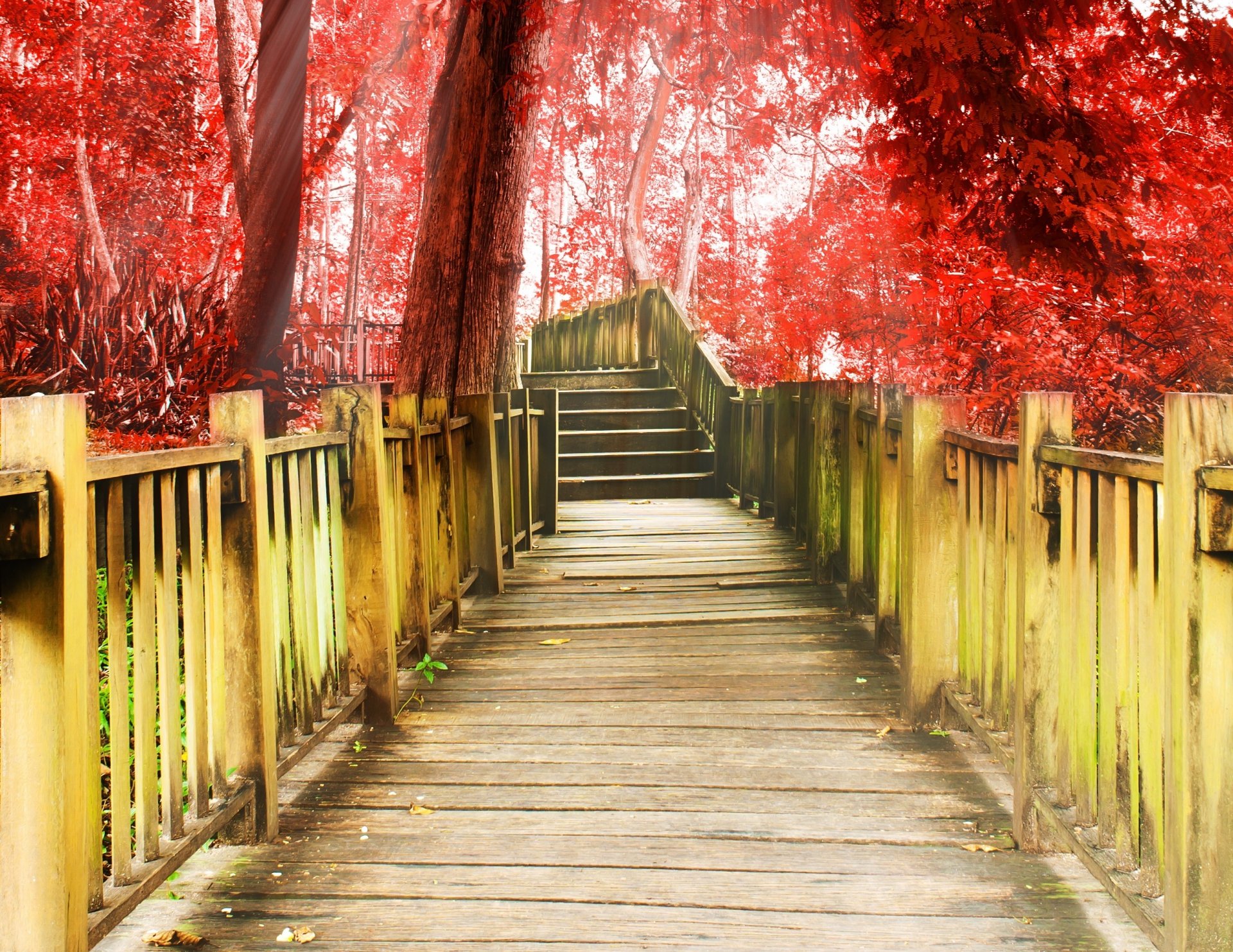 miscellaneous path stairs steps steps tree trees red background wallpaper widescreen fullscreen widescreen widescreen