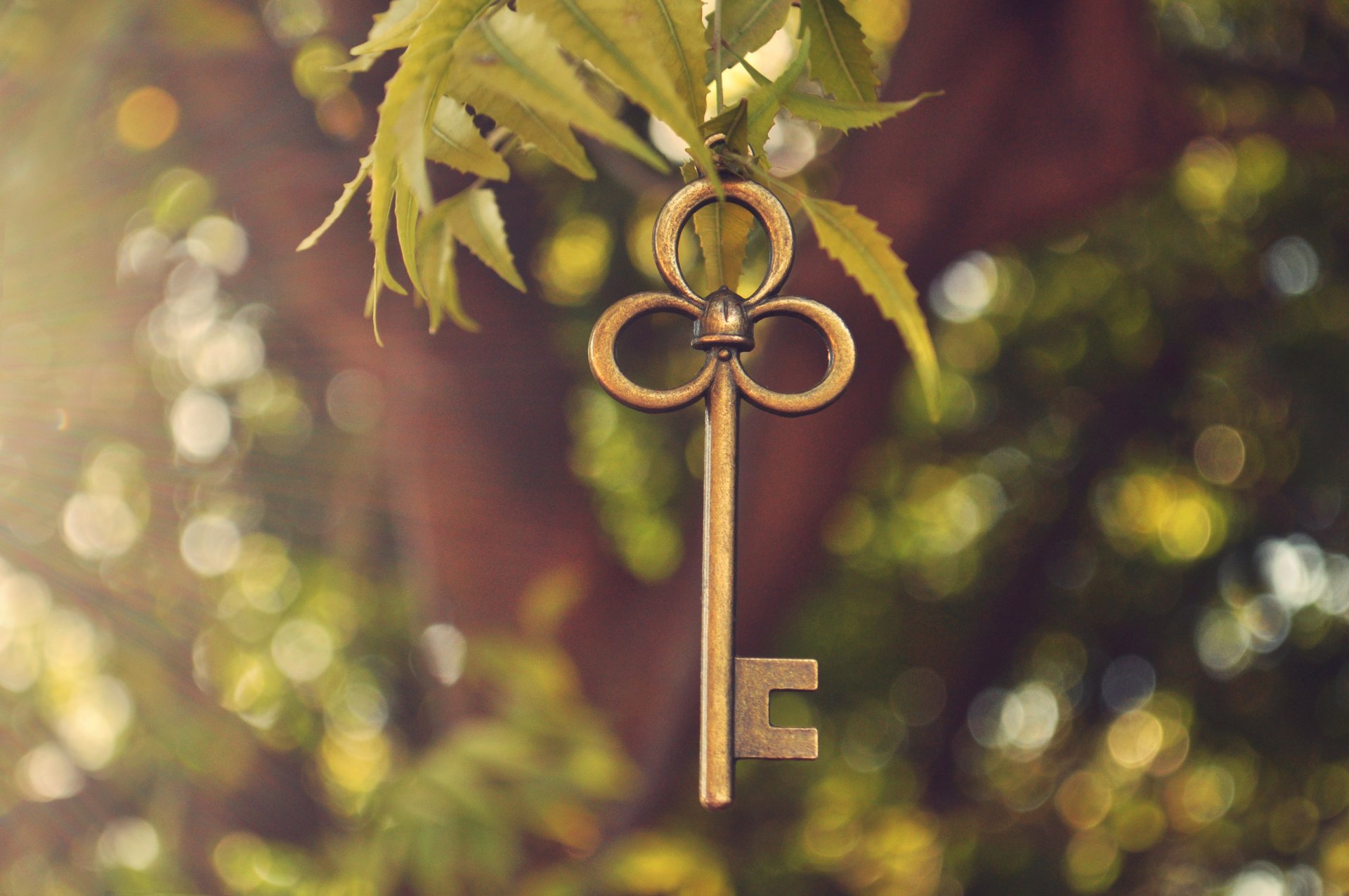 key metal branch leaves green bokeh light