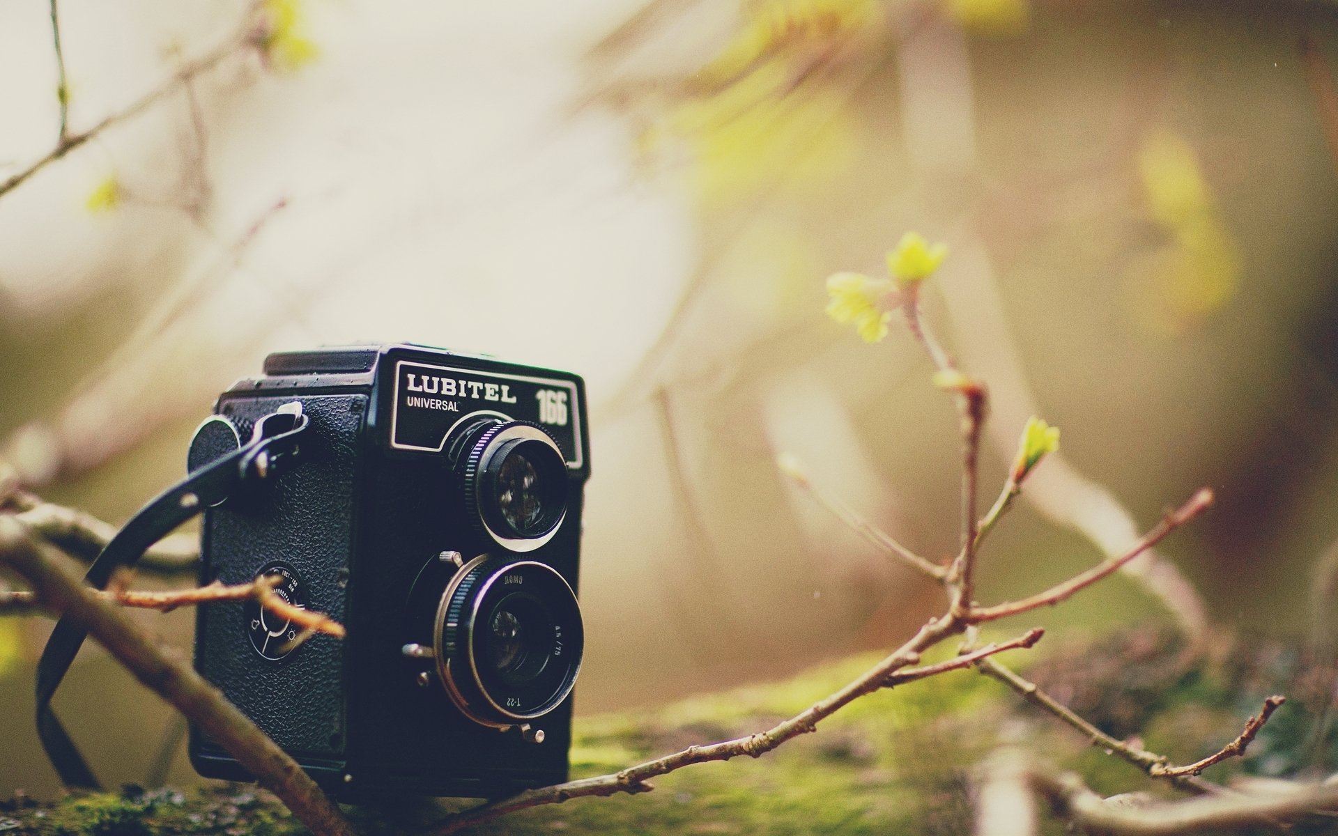 varie macchina fotografica samera macchina fotografica lubitel albero foglie rami sfocatura sfondo carta da parati widescreen schermo intero widescreen widescreen