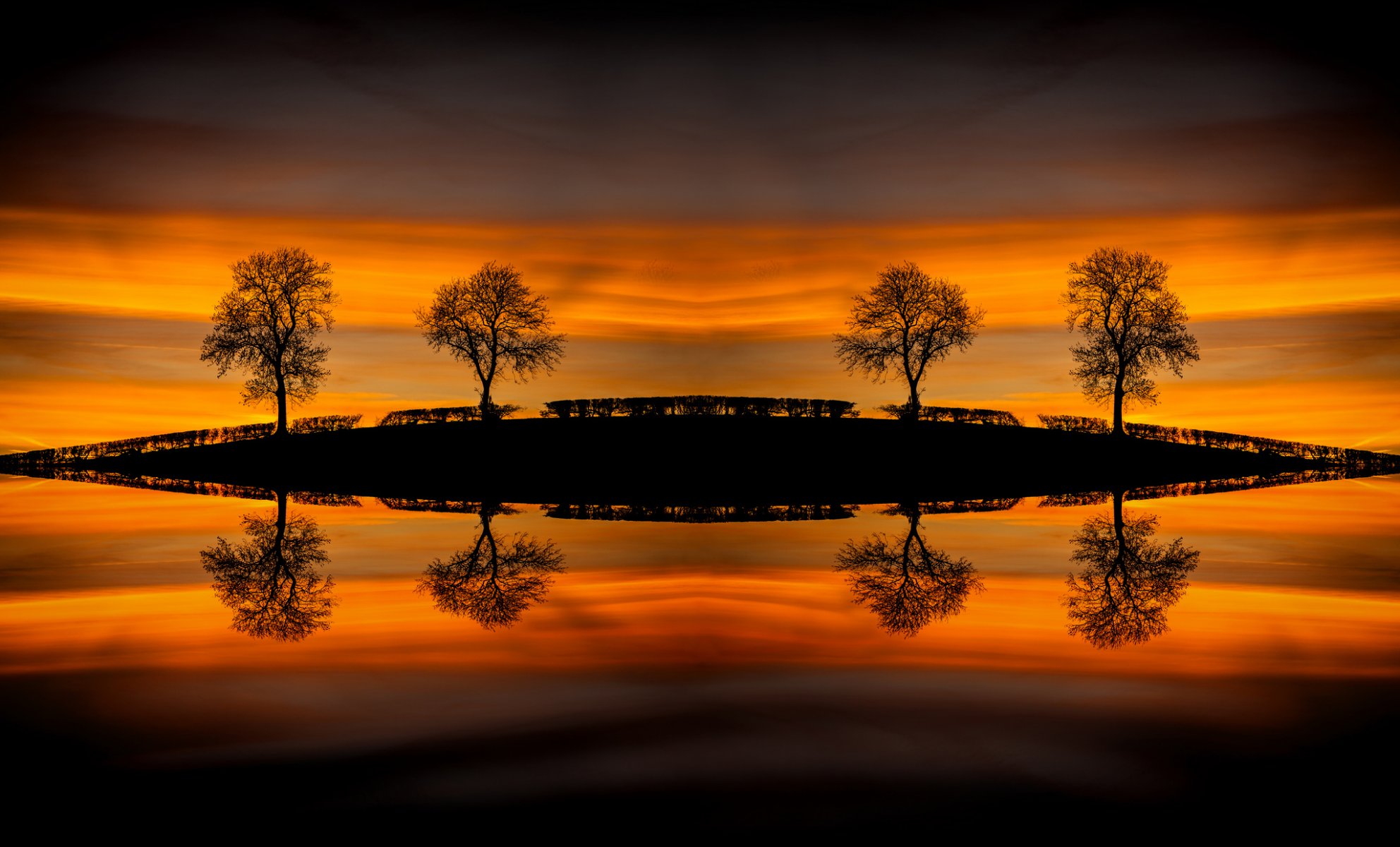 arbres eau colline réflexion