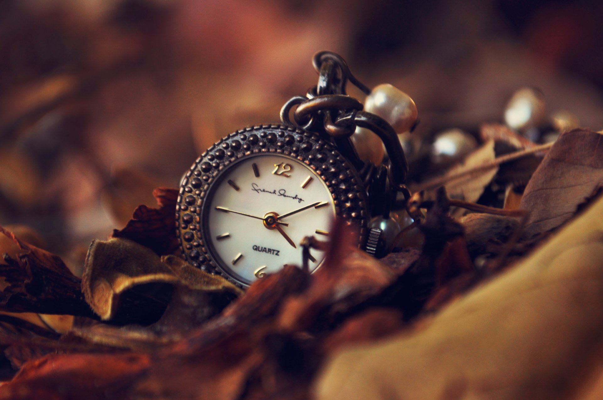 reloj esfera manos colgante hojas otoño