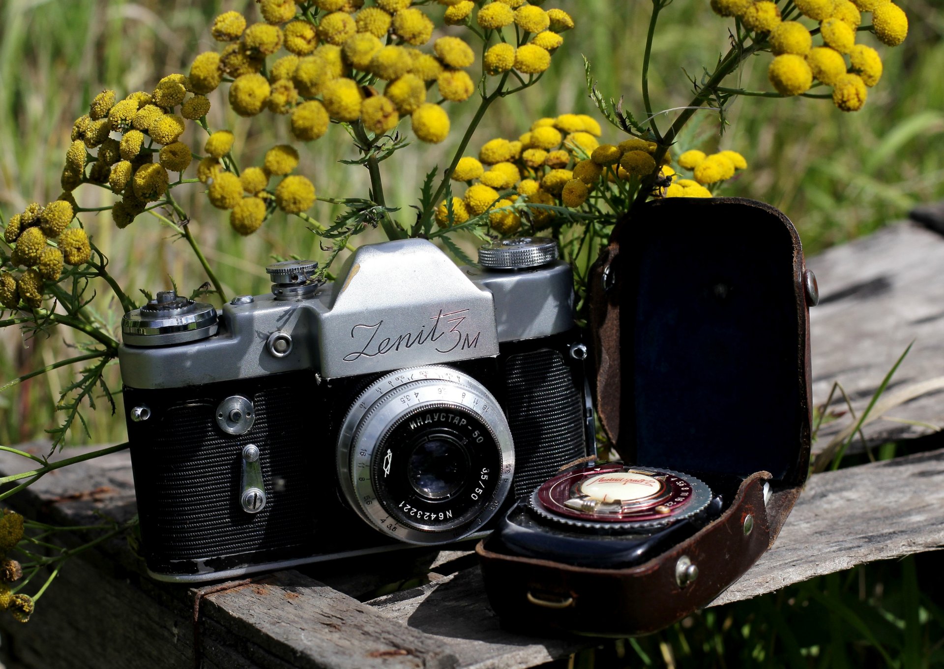 appareil photo zenith-3m soviétique objectif unique reflex exposant leningrad 2 couverture fleurs mimosa fond