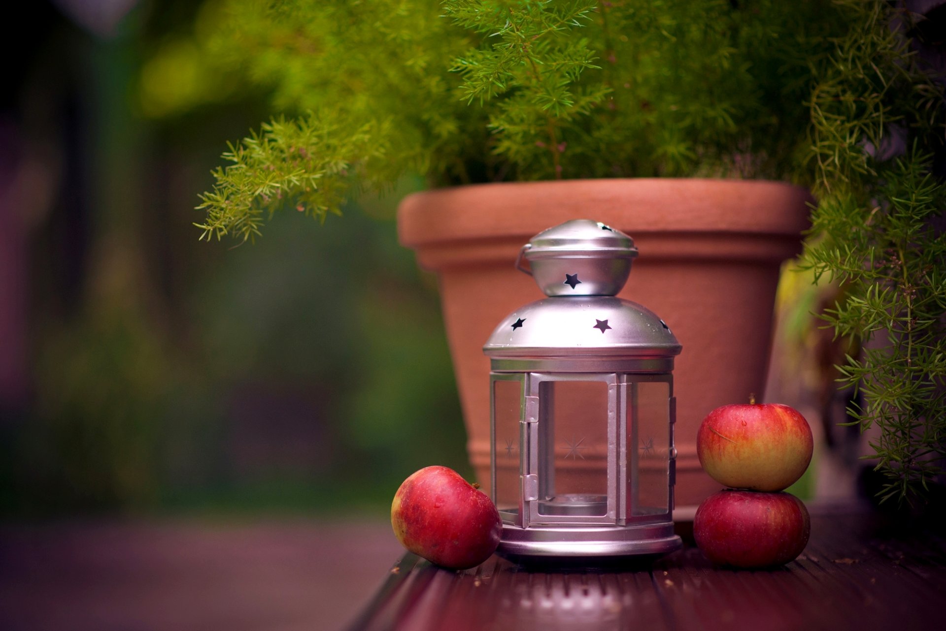 flashlight light ikea candle pot plant apples fruit