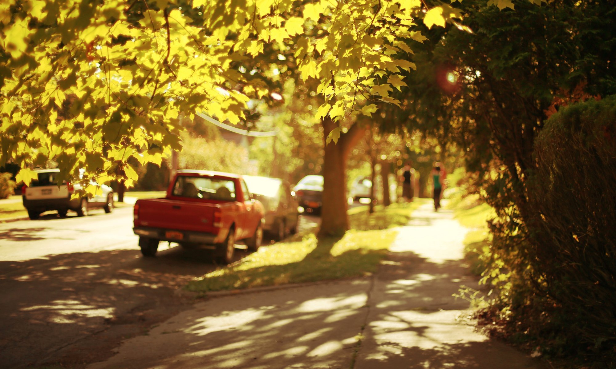 miscellaneous moods nature leaves leaves tree trees path path people person figure car cars shadow sun street city day background wallpaper widescreen fullscreen widescreen widescreen widescr