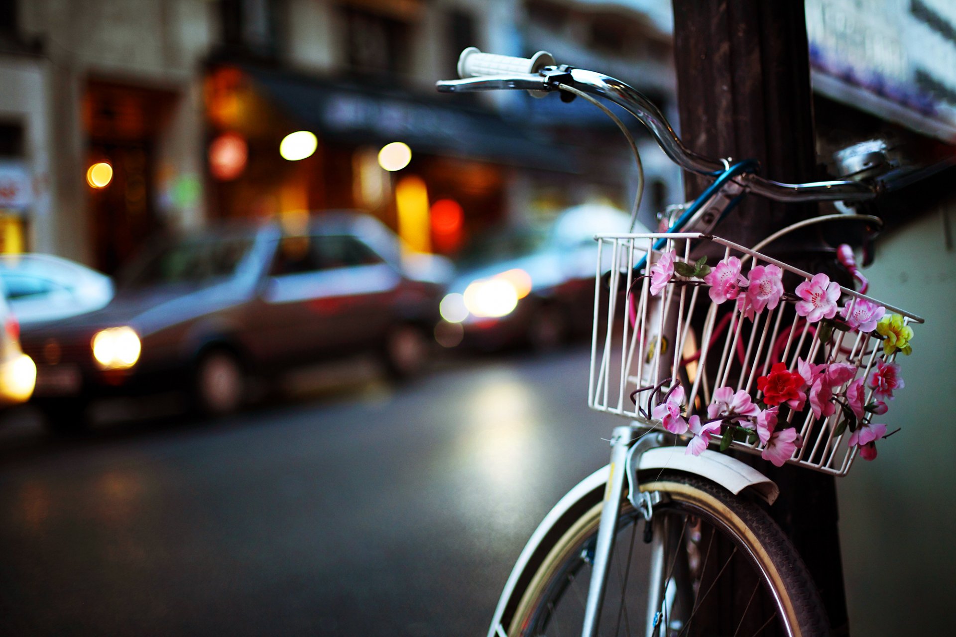 bicicleta cesta flores poste ciudad camino coches tarde luces bokeh