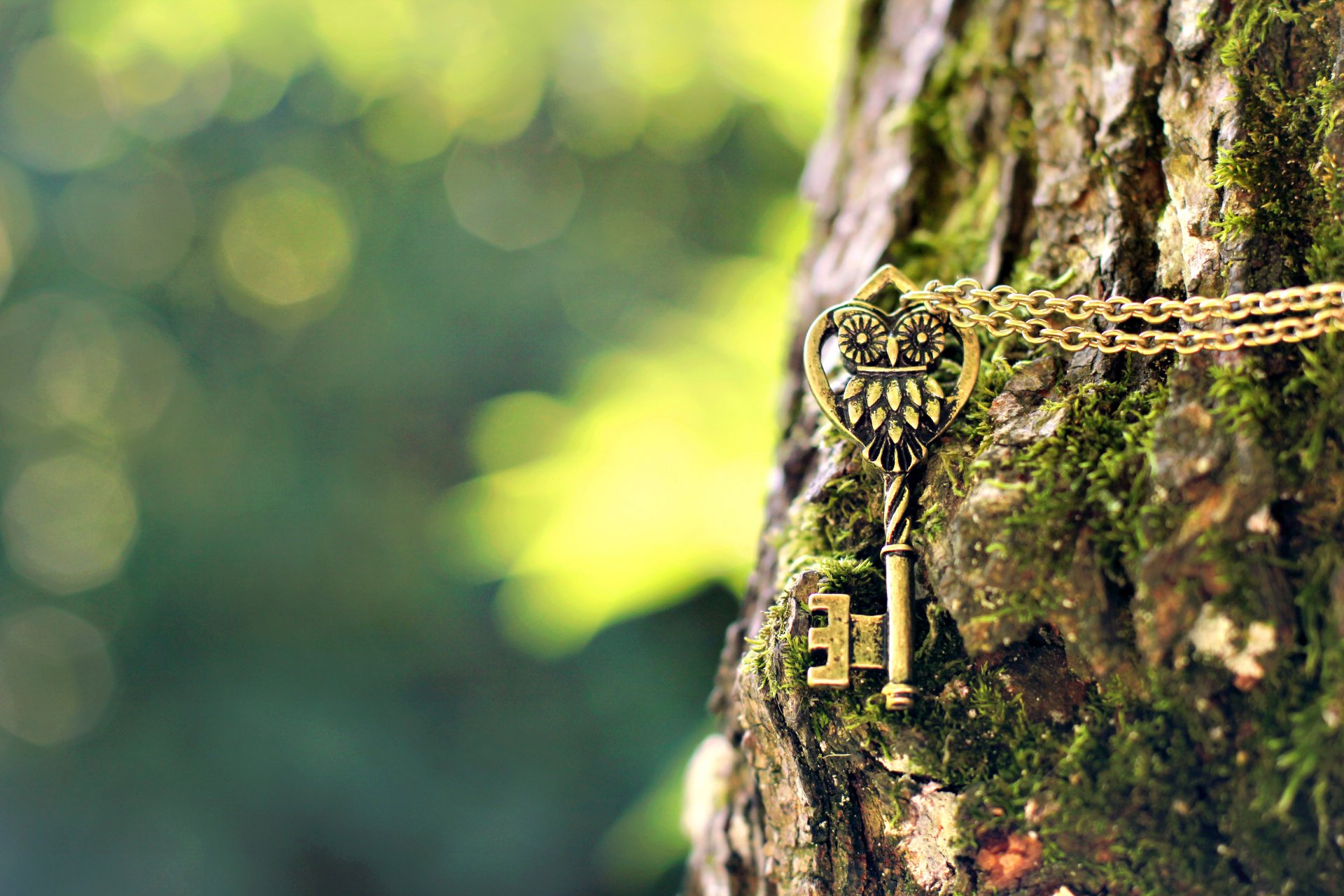 llave metal búho colgante cadena árbol corteza bokeh desenfoque macro