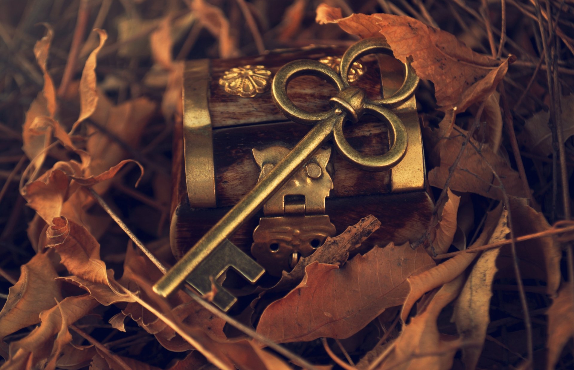 key metal box leaves fallen autumn