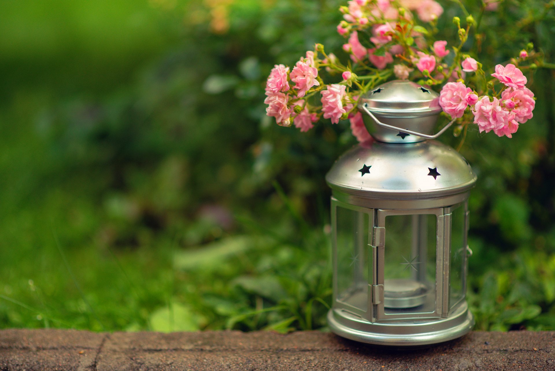 laterne taschenlampe kerze blumen rosa gras grün unschärfe