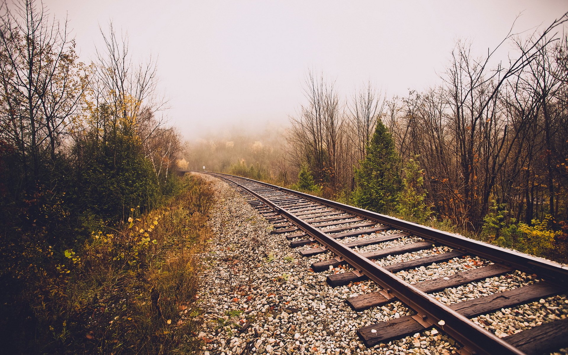 ferrovia nebbia natura