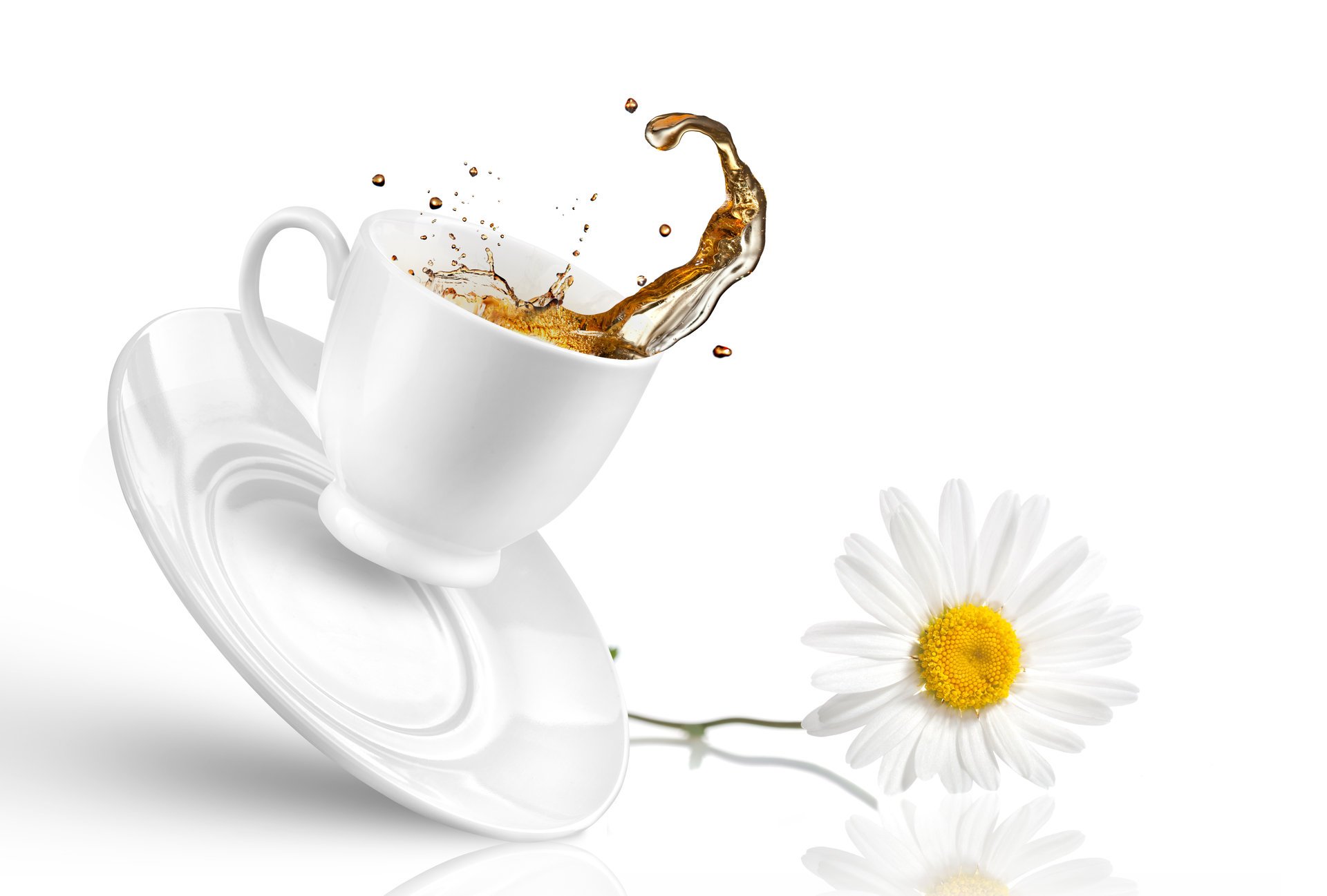 cup saucer tea splash fall daisy