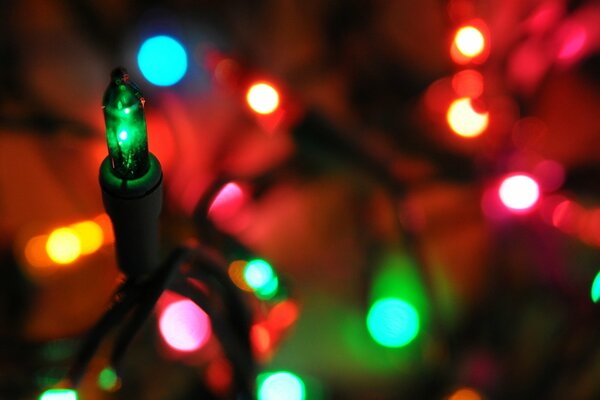 Guirlandes lumineuses multicolores sur fond flou