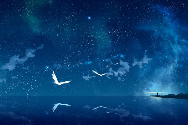 Birds in the night sky over the sea