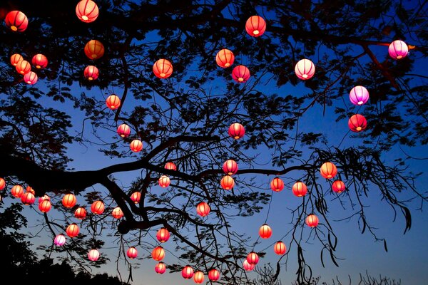 Night lamps on a spreading tree