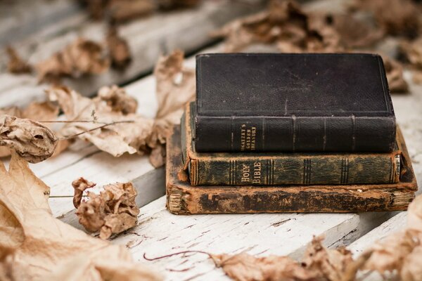 A stack of battered books surrounded by obsolete autumn foliage