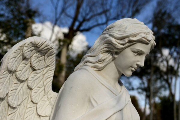En el fondo de los árboles, una estatua de un ángel con alas