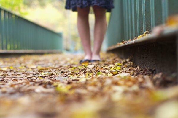 Las piernas de una niña en un vestido de pie en la pista con hojas de otoño