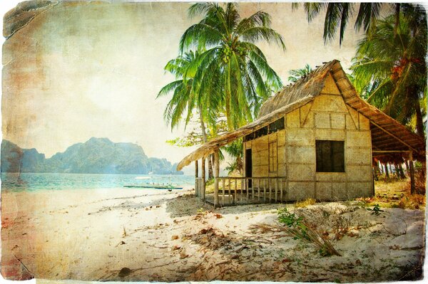 Beach house on the ocean shore under a palm tree