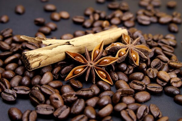 Cinnamon stick coffee beans
