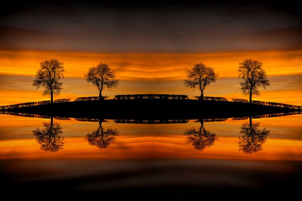 Reflejo en el agua del atardecer, siluetas de árboles