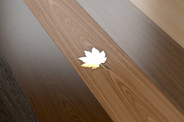 A small maple leaf on a wooden matt parquet