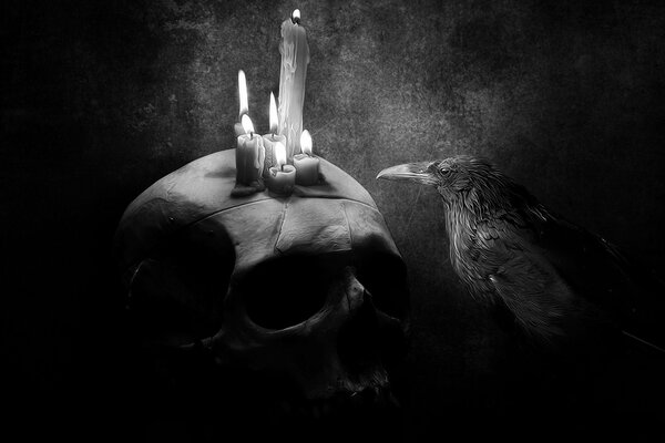 Image corbeau regardant les bougies allumées sur le crâne