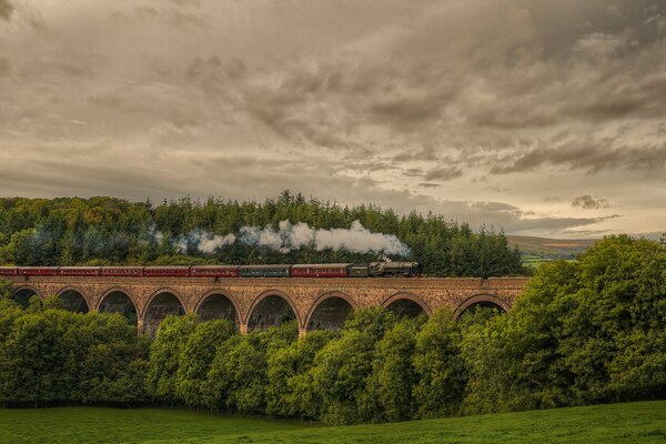 Train sur le pont sur le fond de la nature de l Angleterre