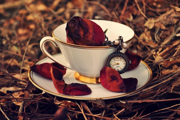 A mug and saucer inside with rose petals and a clock lie on the ground with fallen leaves
