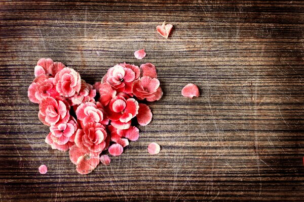 Heart of pink flowers on a tree background