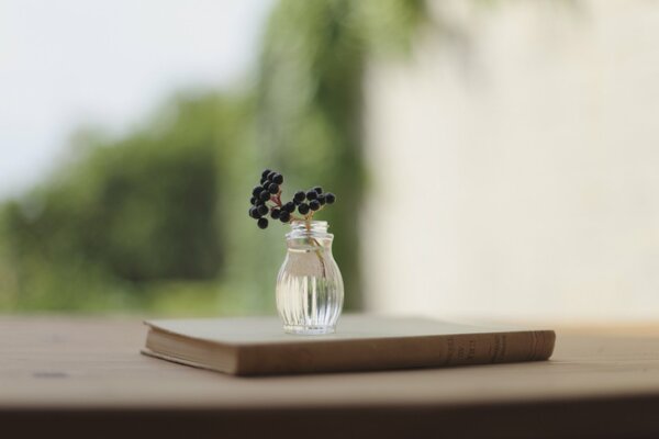 Livre sur la table, avec un vase et une branche de baies