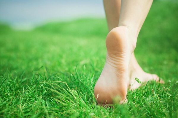 Pieds de la jeune fille sur l herbe verte