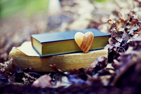 Books on autumn leaves. yellow heart. blurred background