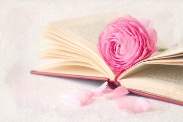 Bookmark of a flower in a book in bed tones