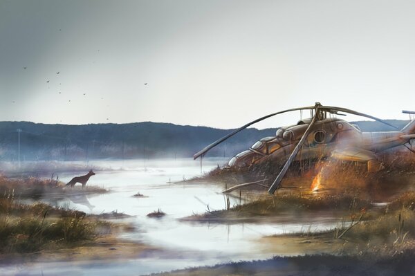 A dog found a helicopter in a swamp