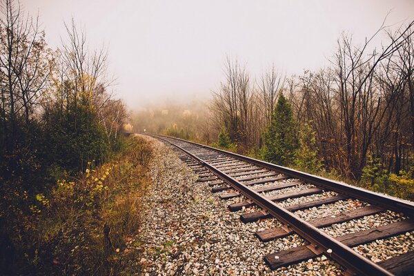 El ferrocarril que sale en la niebla de otoño