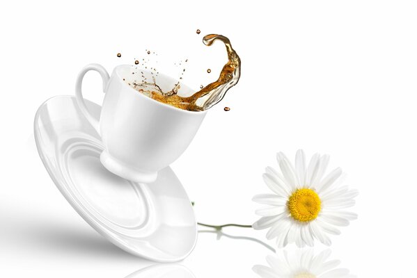 Chamomile and falling white mug with tea on a white background