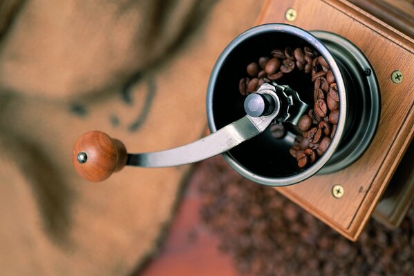 Pour les amateurs de café. Grains de café dans un moulin à café