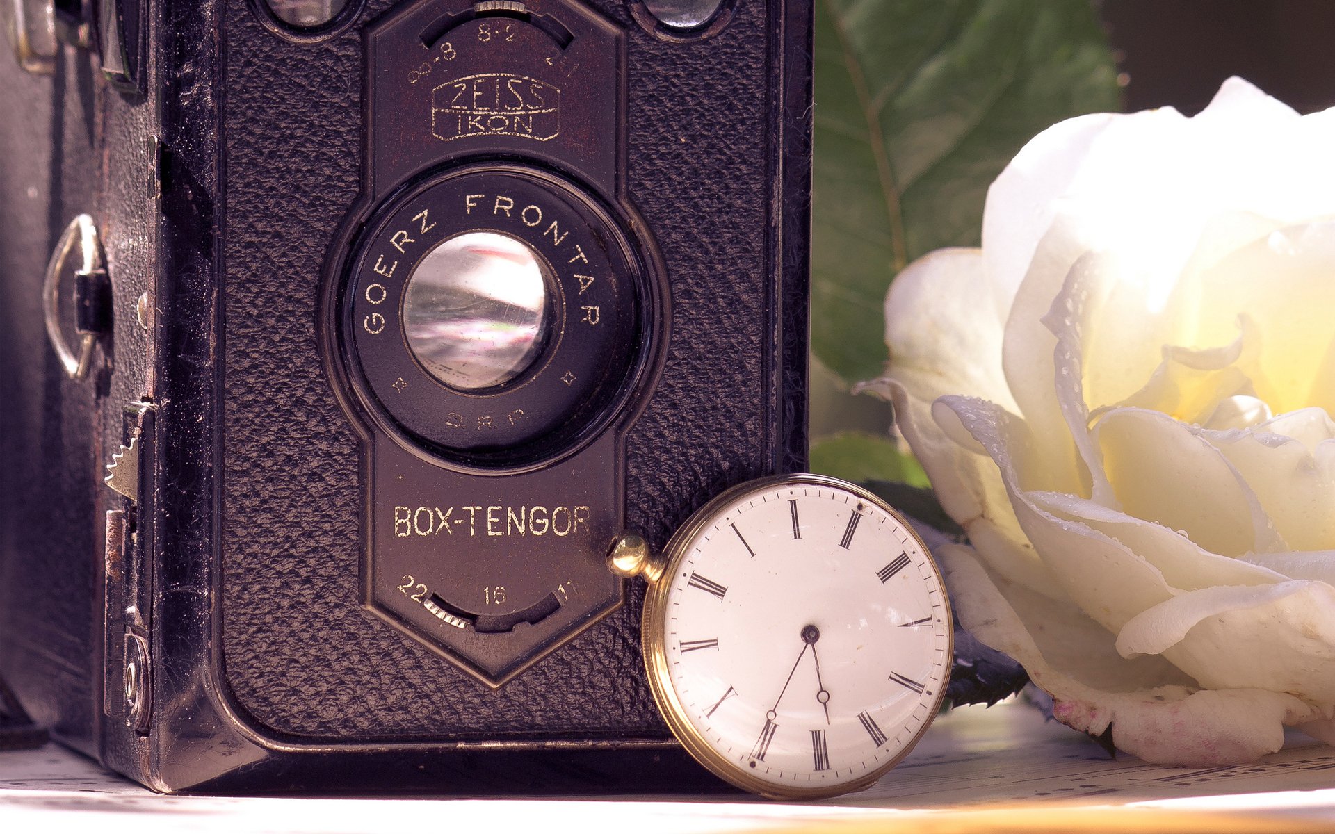 retro the camera a camera watches pocket rose white flower sun