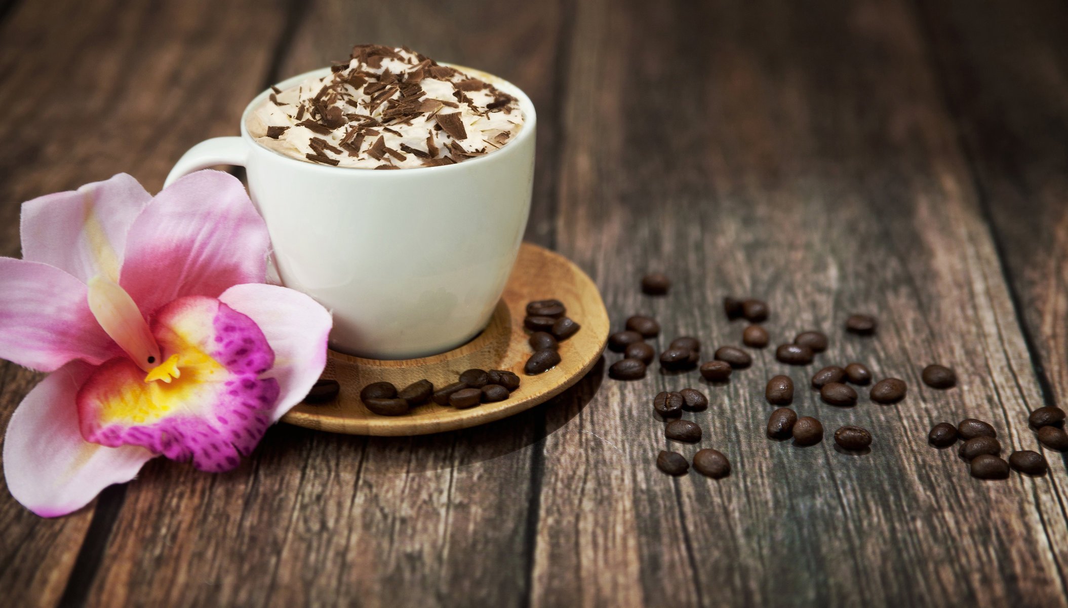 caffè cappuccino bevanda schiuma cioccolato grano tazza orchidea rosa fiore