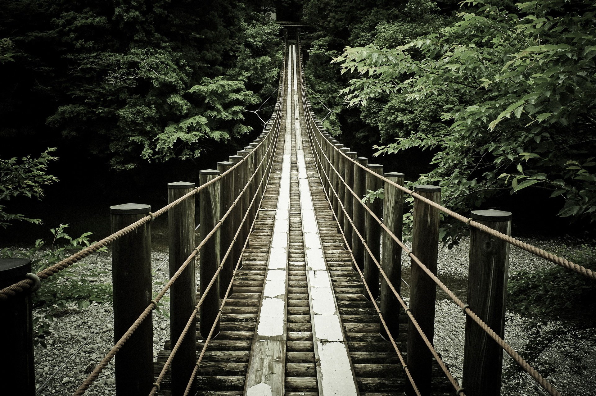 bridge river nature background