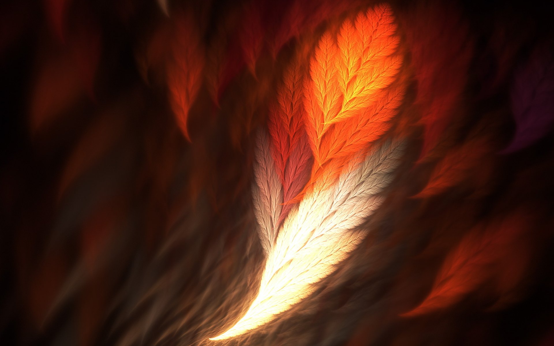 feather phoenix render